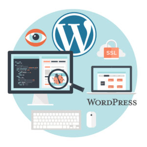 WP Maintenance Plan